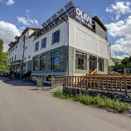 Olive Ala Archa hotel Verkhnyaya Alaarcha Exterior foto